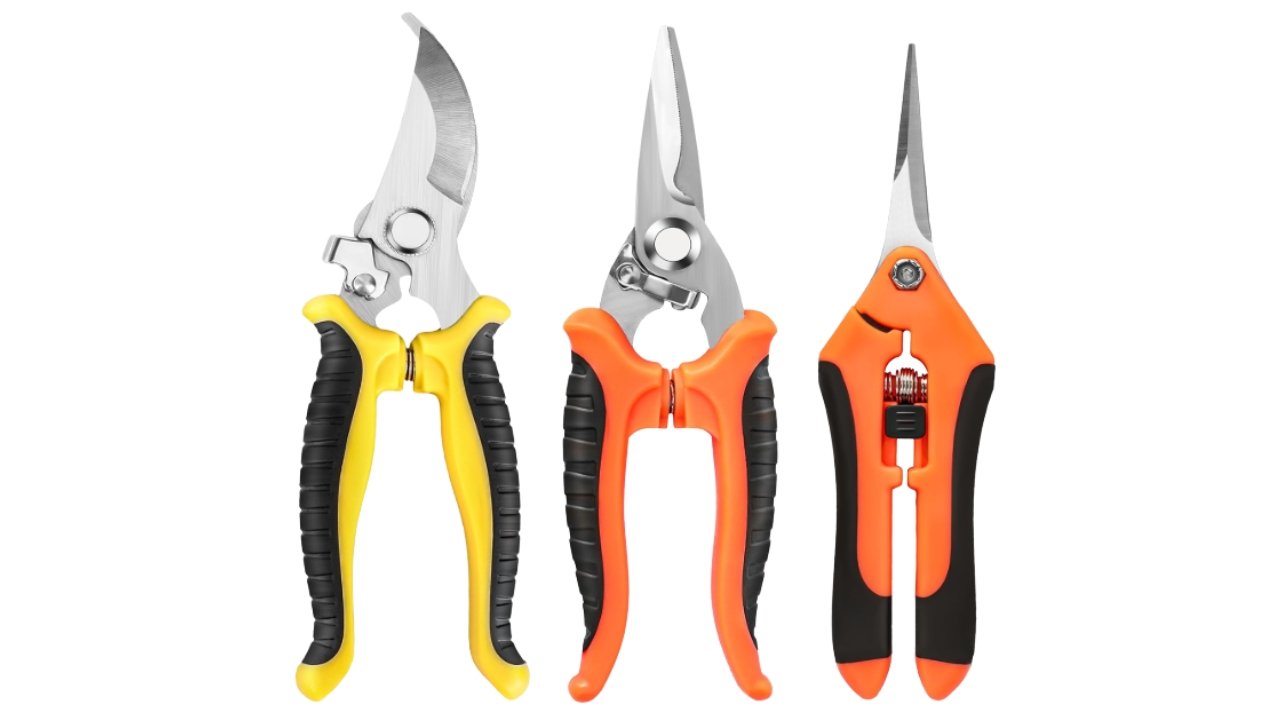 Best Pruning Shears