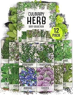 Seed Needs Herb Seeds Variety Culinary