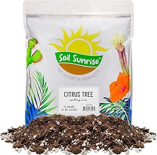 Soil Sunrise Citrus Tree Potting Mix